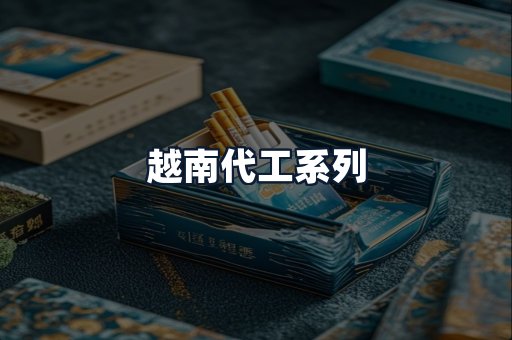 越南代工系列